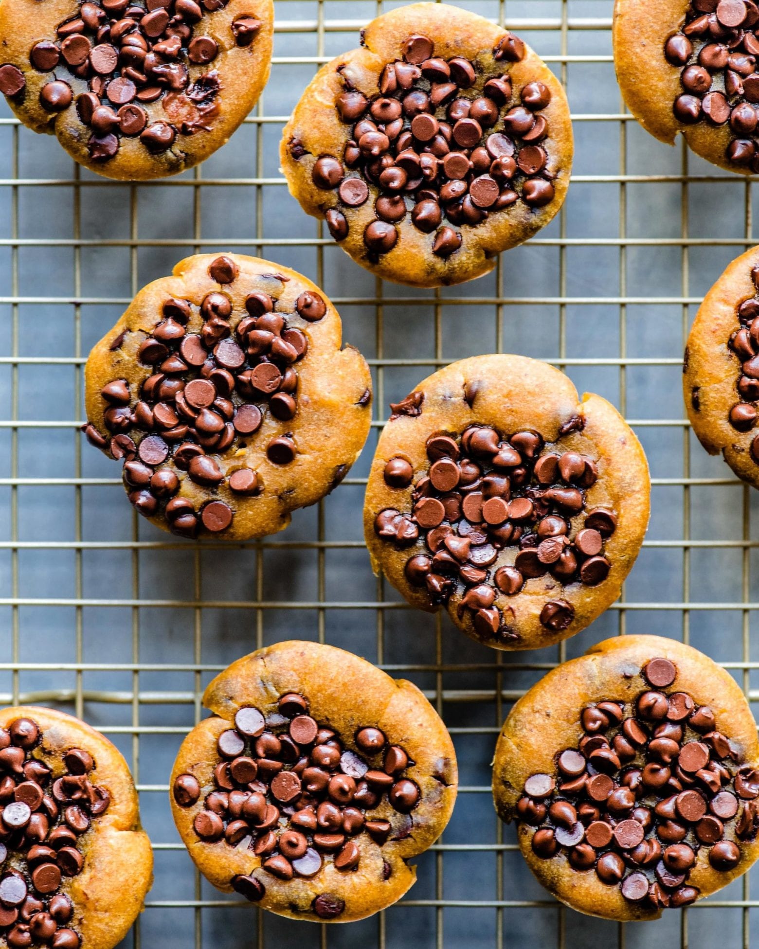 Vegan Pumpkin Tahini Chocolate Chip Muffins - Rainbow Plant Life