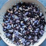 variety of blue and black beans in a colander