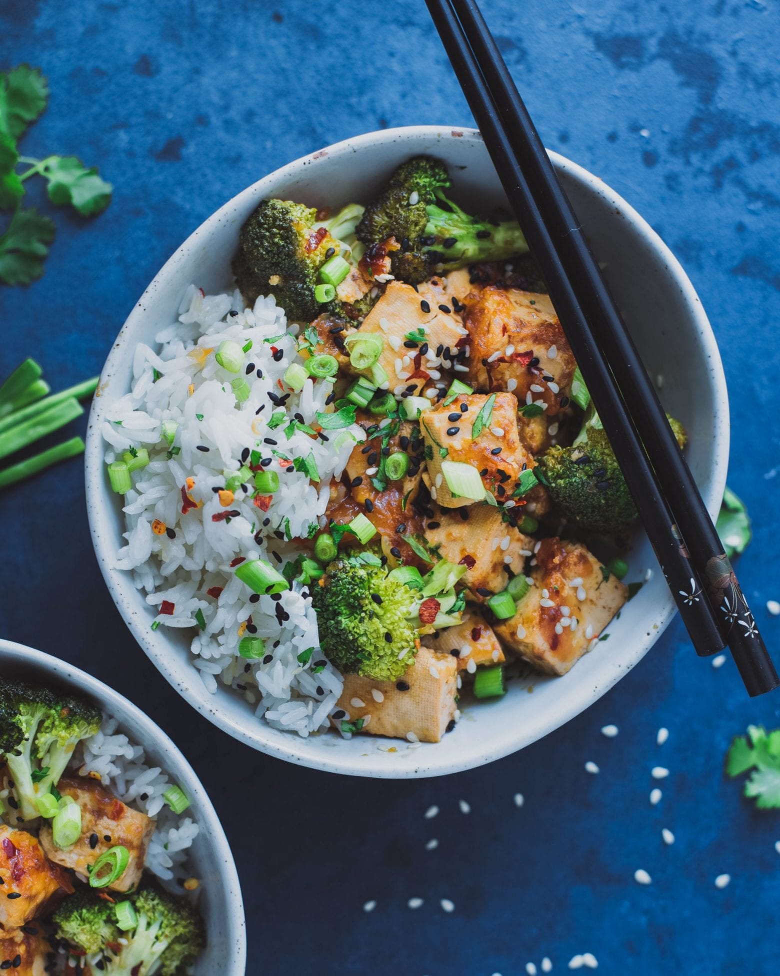 Chinese Takeout-Style Tofu and Broccoli (recipe from The Vegan Instant Pot Cookbook)