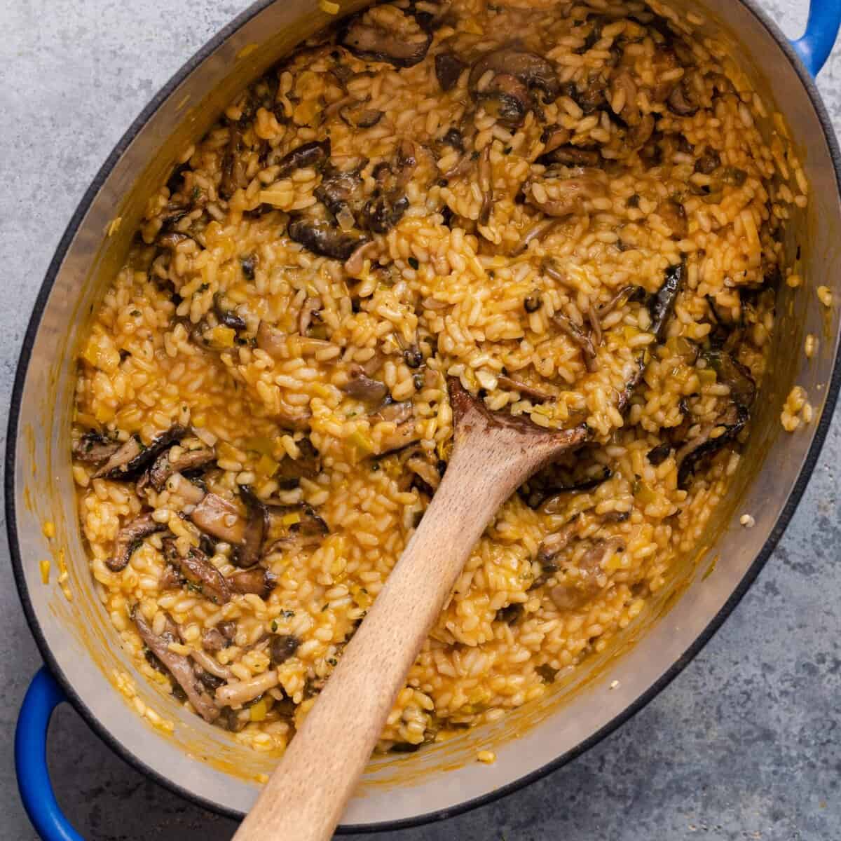 vegan-mushroom-risotto-mushroom-risotto-with-serving-spoon-in-dutch-oven-1536x1536.jpg