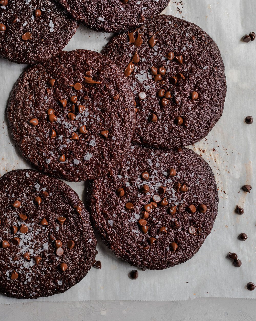 Dark Chocolate Blackout Cookies