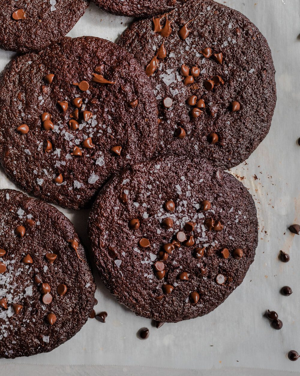 Dark Chocolate Blackout Cookies