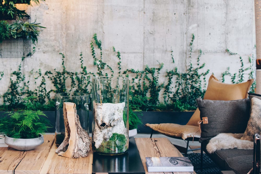 Plants on a wood table in front of a cement wall with ivy growing up it.