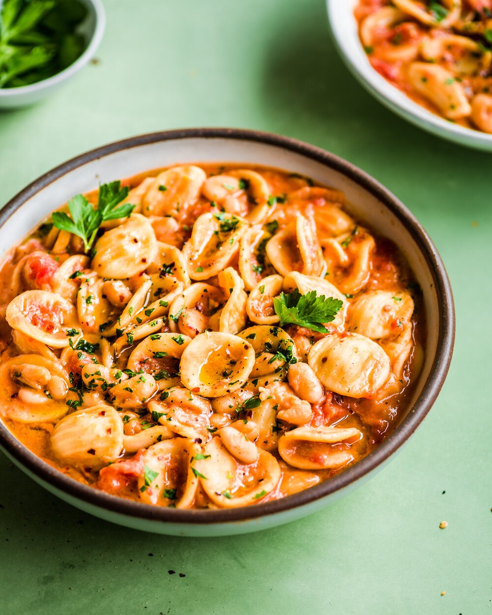 Vegan Italian White Bean and Pasta Stew.