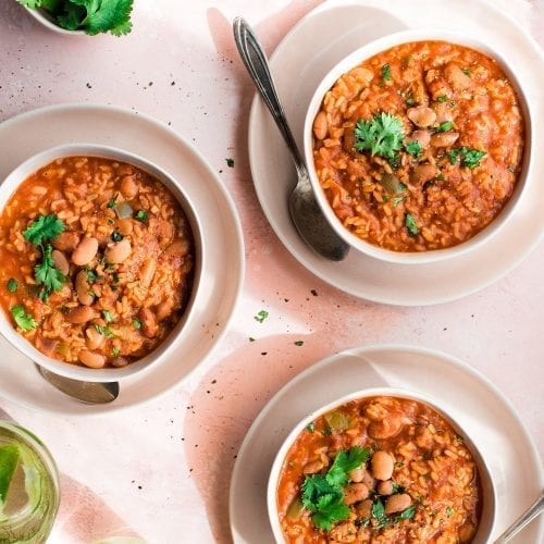 Vegan Instant Pot Mexican Rice and Beans