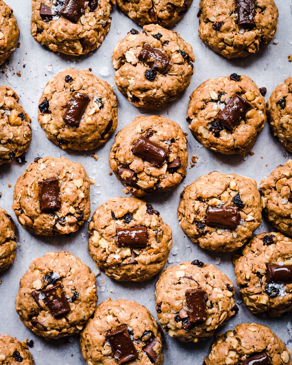 Lots of chocolate chunk oatmeal cookies on a piece of parchment paper on a baking sheet.