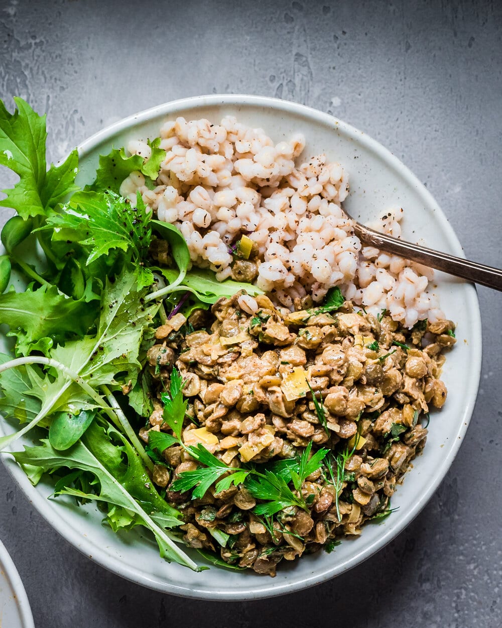 10 Healthy Vegan Lentil Recipes.