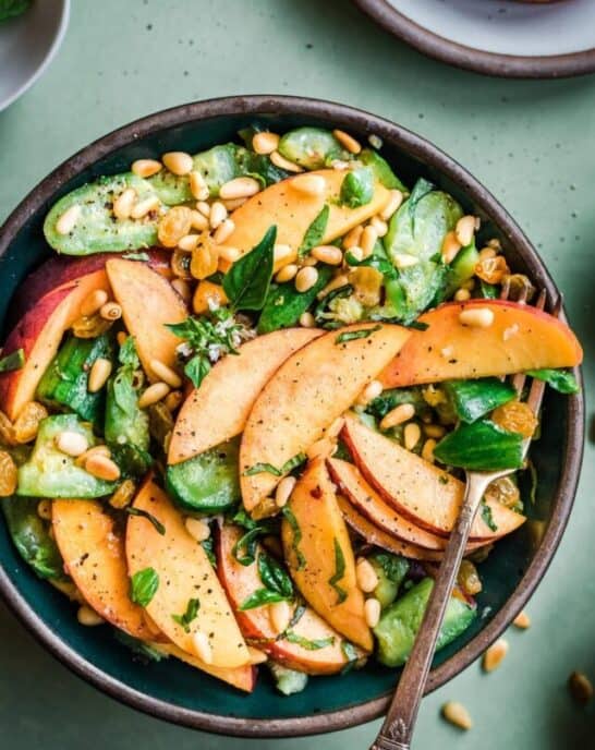 Stories Archive Rainbow Plant Life