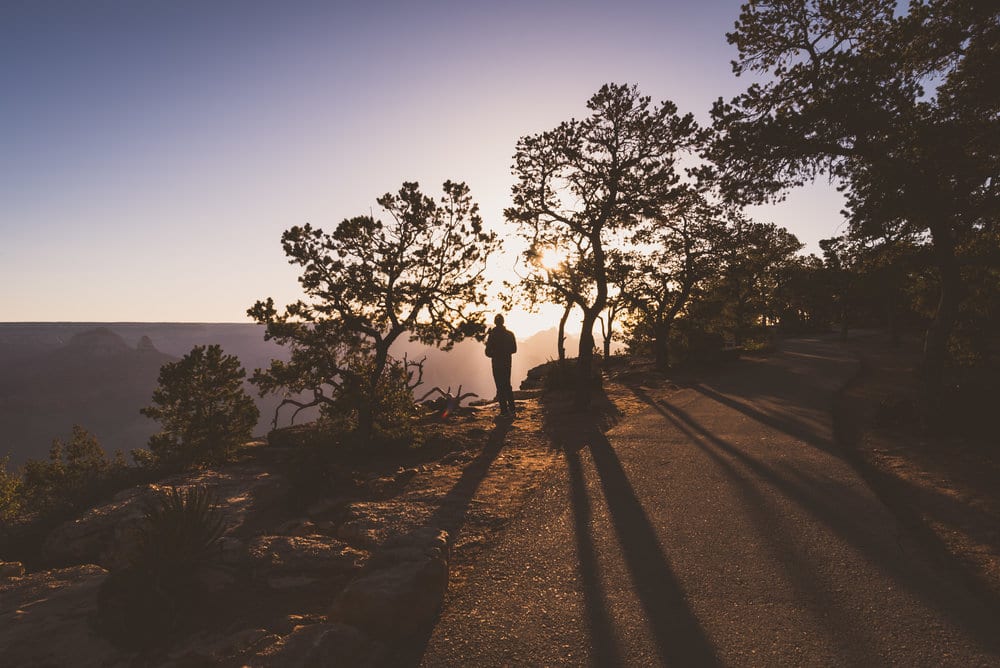 Man standing between two trees watching the sunset in the grand canyon.