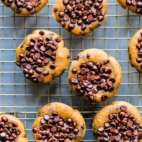 Vegan Pumpkin Tahini Chocolate Chip Muffins