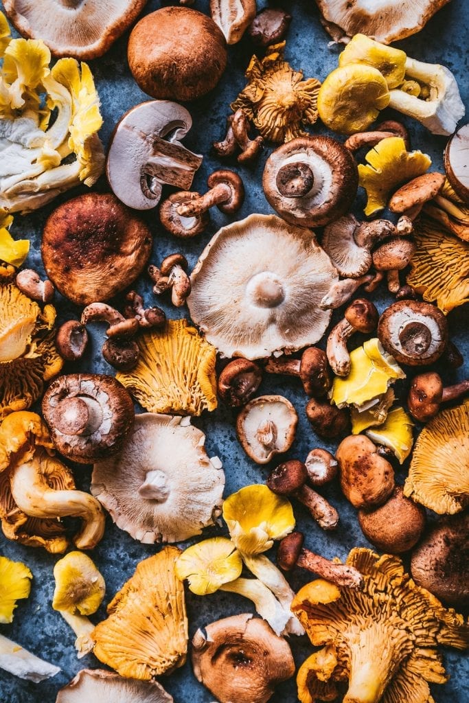 beautiful photo of a variety of wild mushrooms, including chanterelle mushrooms, oyster mushrooms, and shiitake mushrooms