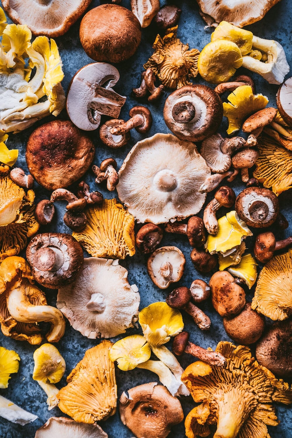 beautiful food photo of wild mushroom varieties, including chanterelle mushrooms, oyster mushrooms, and shiitake mushrooms.