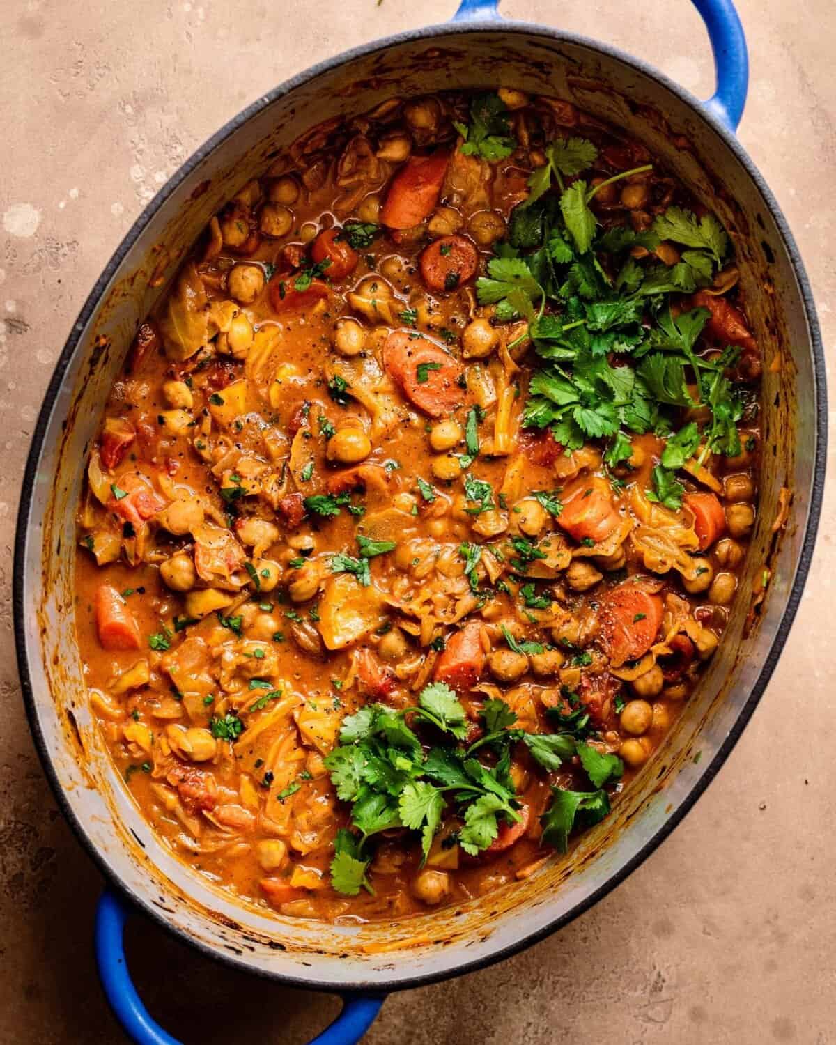 Braised Indian Chickpea Stew Rainbow Plant Life