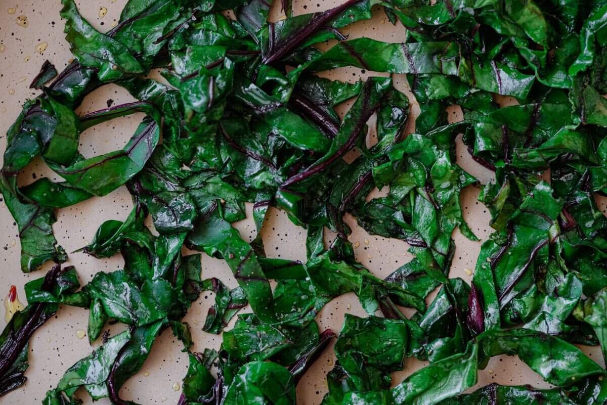 Roasted Beet and Fennel Salad with Walnut Bread Crumbs Rainbow Plant Life