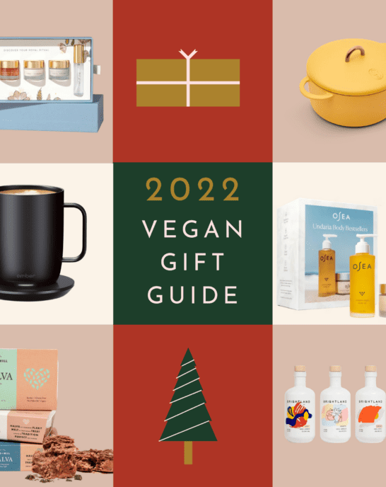 cover image for 2022 vegan gift guide with images of gifts and holiday icons.