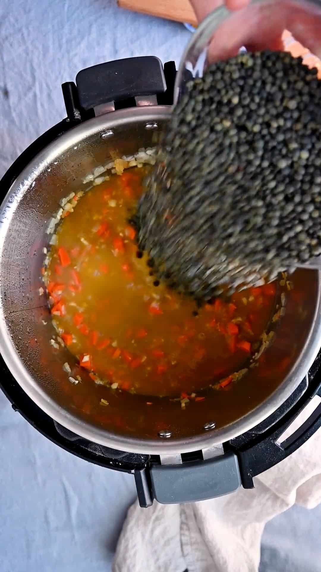 How to Cook Lentils in the Instant Pot - Rainbow Plant Life