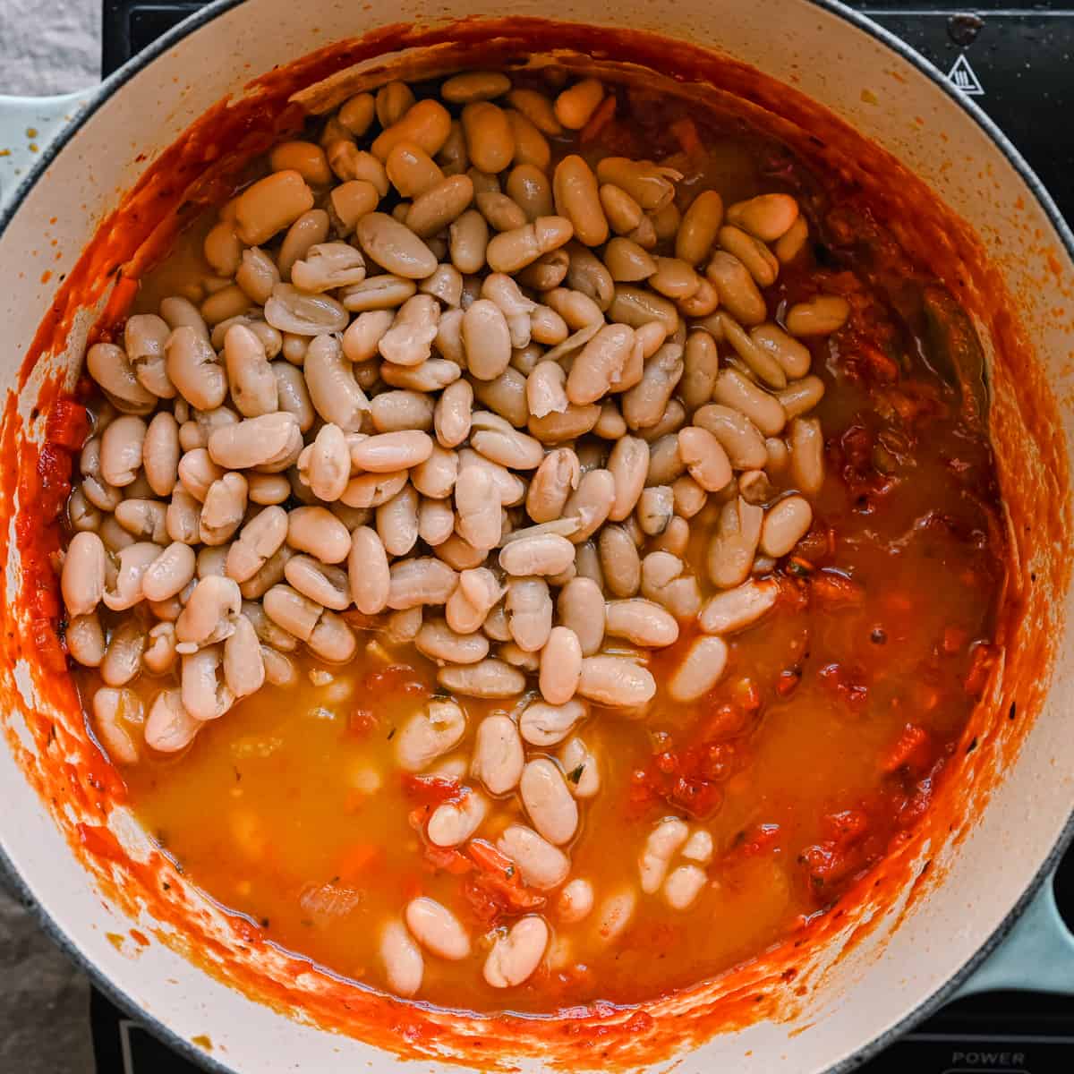 tomato stew with cannellini beans on top in dutch oven 