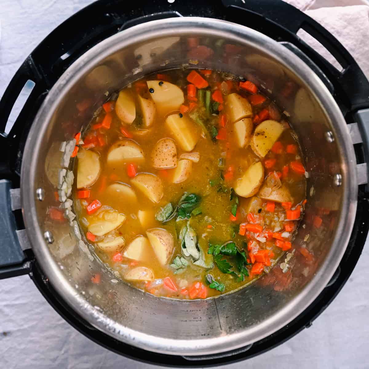 bouqet garni, potatoes, and lentils in vegetable broth in instant pot for soup