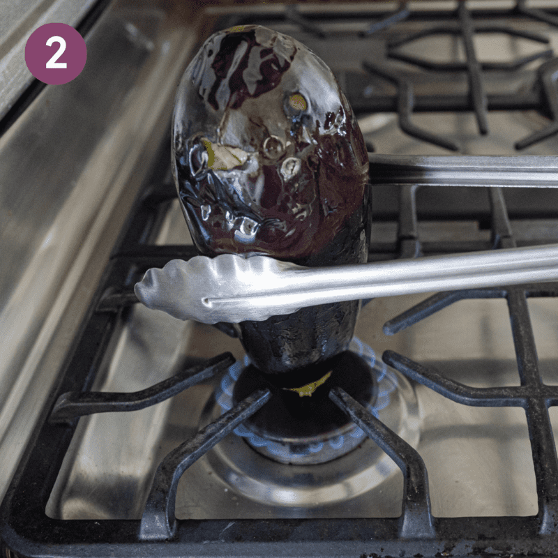 Baingan Bharta Rainbow Plant Life