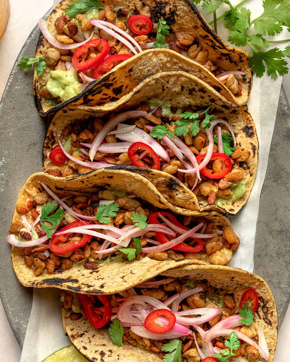 Overhead shot of four tempeh tacos in charred corn tortillas with cilantro on a platter. 
