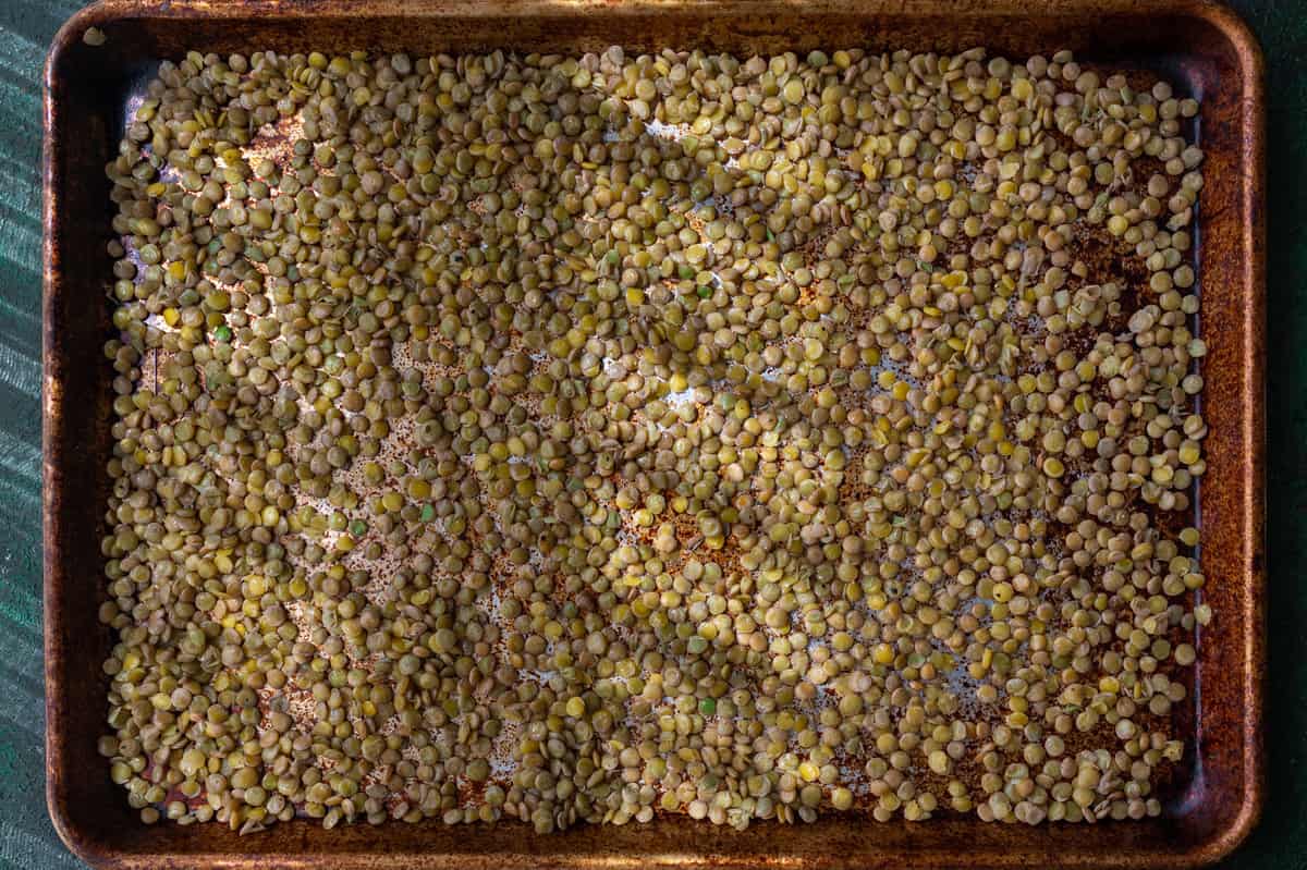 cooked green lentils tossed with oil and salt, spread out on a sheet pan.