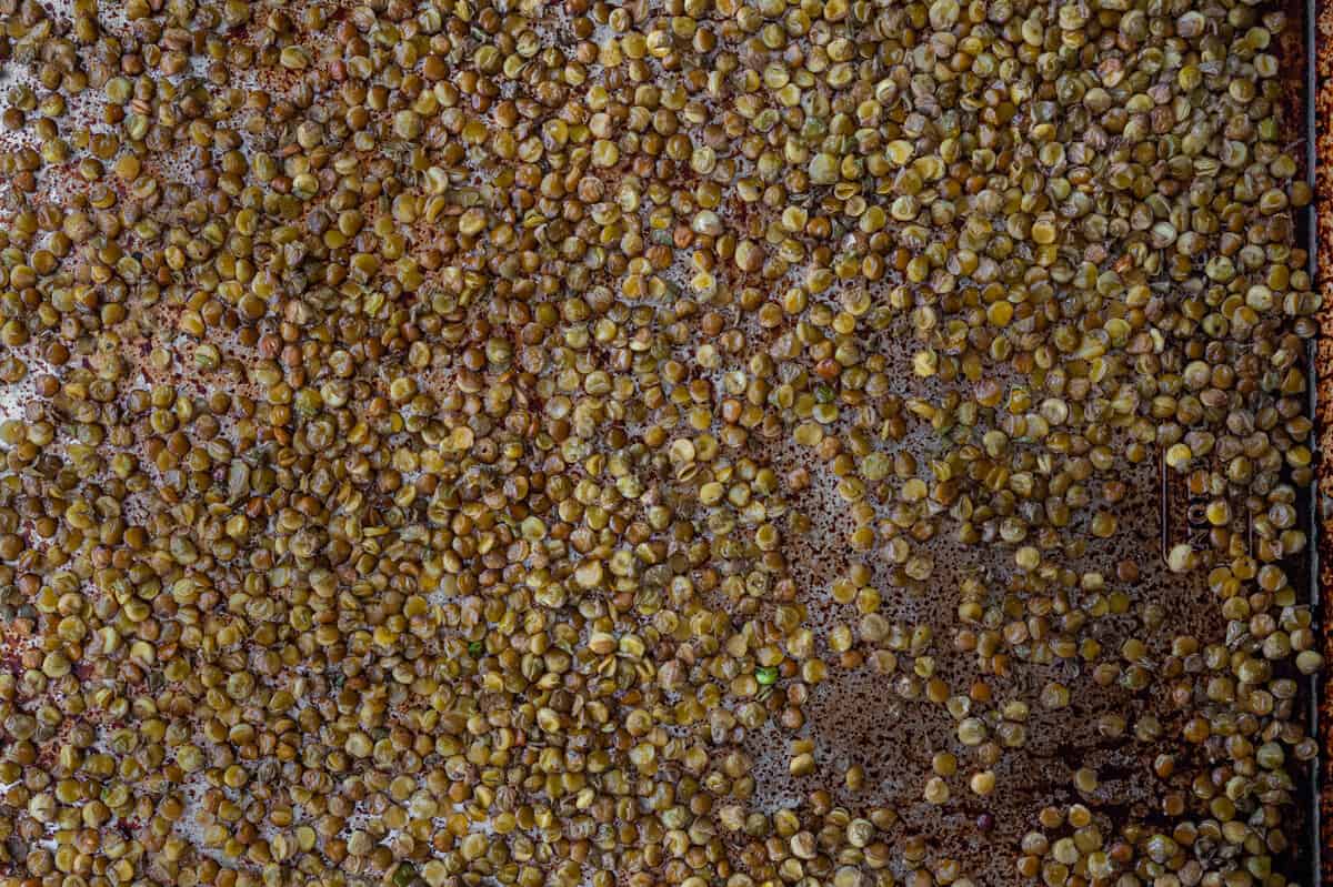 crispy roasted lentils spread out on a sheet pan.