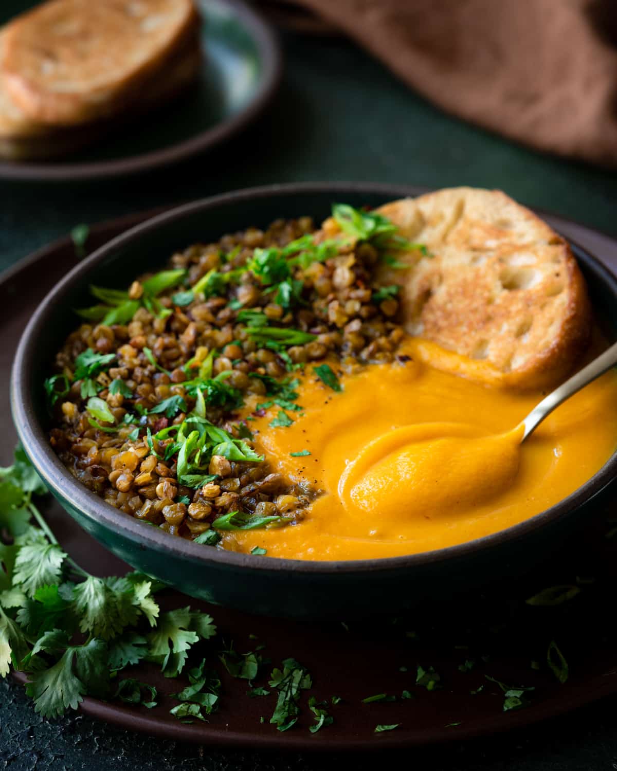 spoon dug into a bowl of creamy butternut squash soup, topped with lentils and herbs.