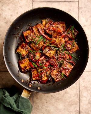 Braised Tofu - Rainbow Plant Life