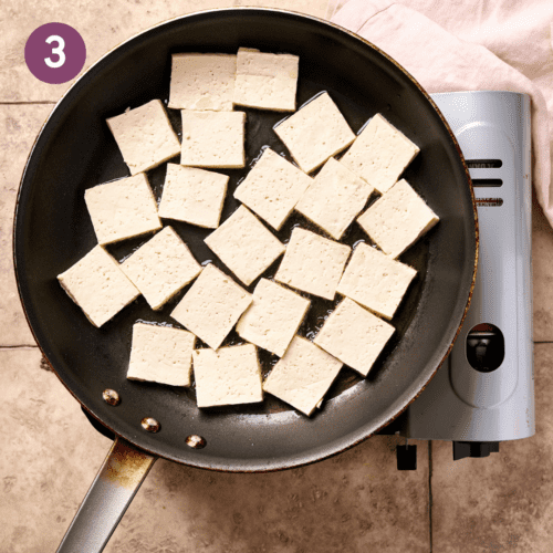 Braised Tofu - Rainbow Plant Life