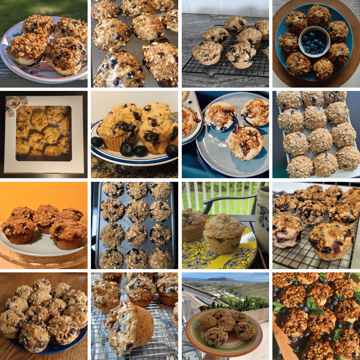 Grid of 16 recipe remakes of the vegan blueberry muffins.