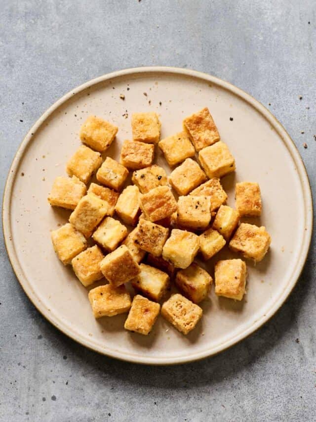 Fried Tofu Rainbow Plant Life