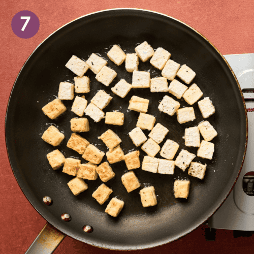 Fried Tofu Rainbow Plant Life