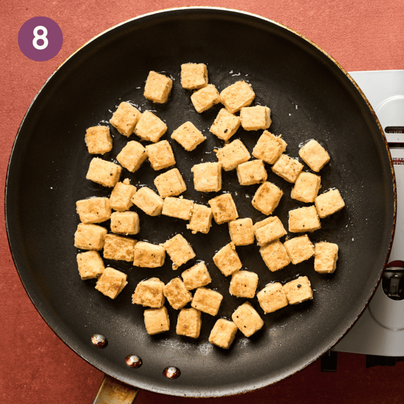 Fried Tofu - Rainbow Plant Life