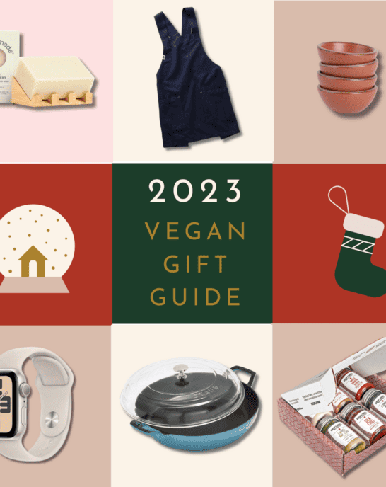 a graphic for Rainbow Plant Life's 2023 vegan gift guide.