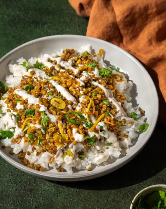 crispy Indian lentils on white rice with turmeric shallots in a shallow bowl on a green table.