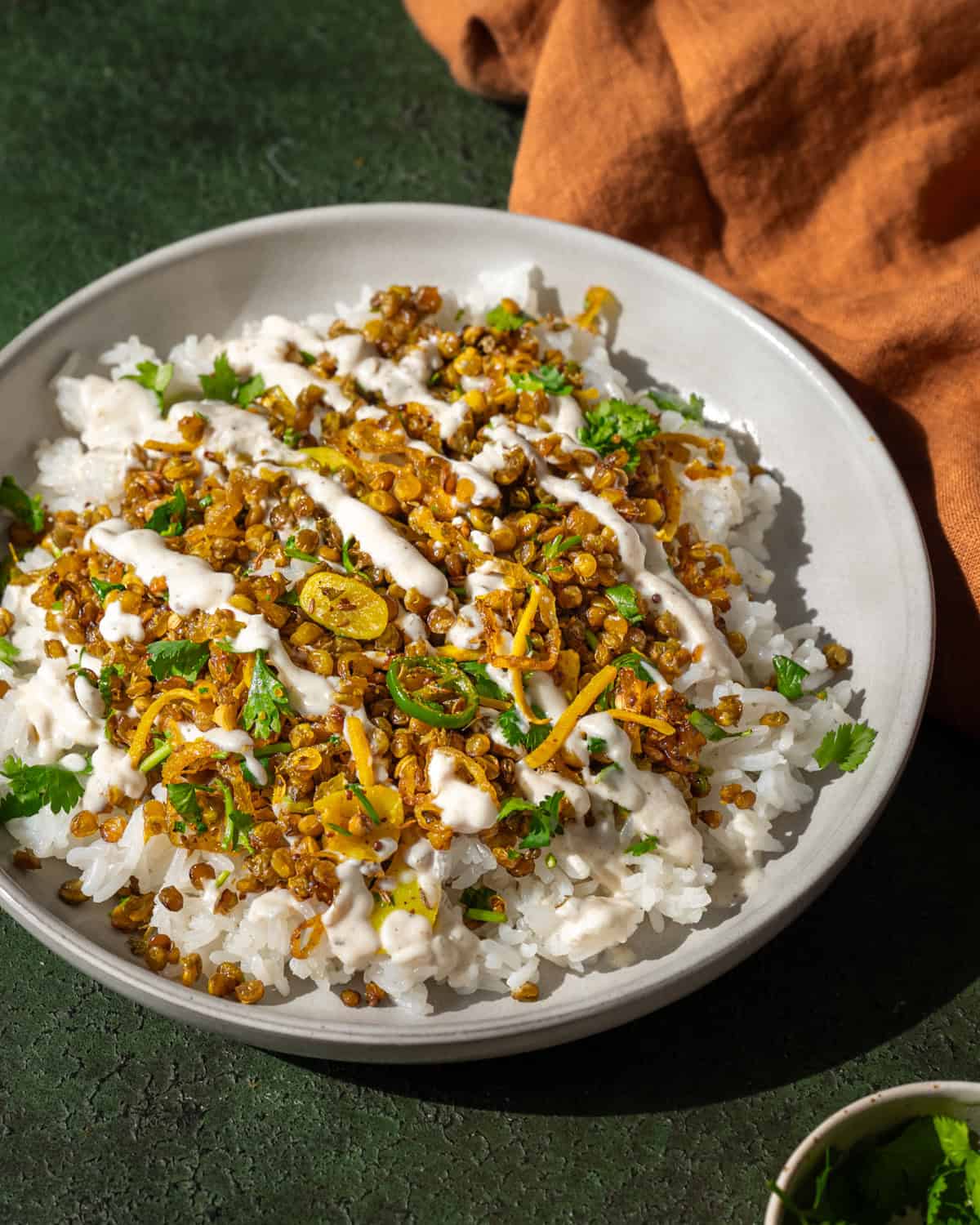 crispy Indian lentils on white rice with turmeric shallots in a shallow bowl on a green table. 