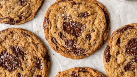 星屑　CHOCOCHIP COOKIE ⑩色違い 星屑様専用 CHOCOCHIP COOKIE ⑩色違い