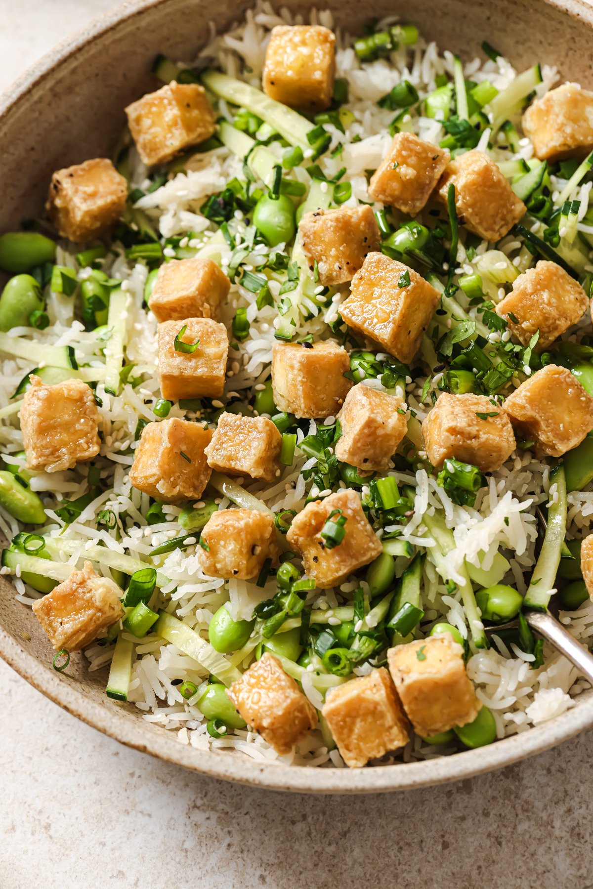 cooked tofu cubes on a rice bowl.