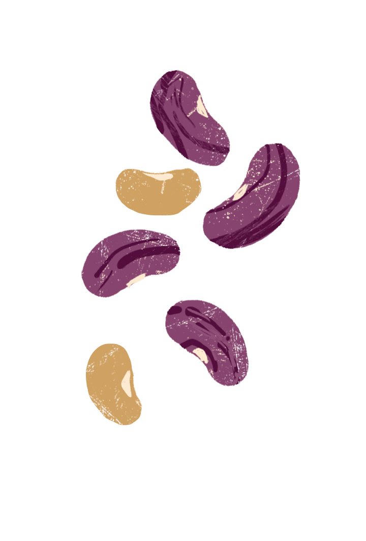 digital drawing of white and black beans.