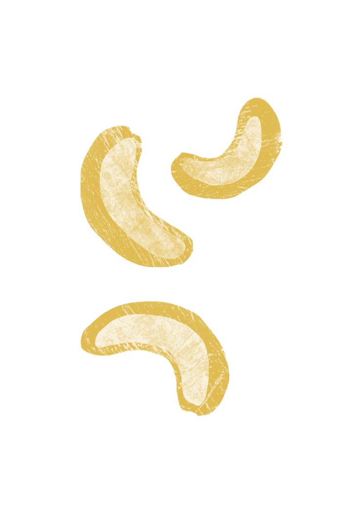 digital drawing of cashews.