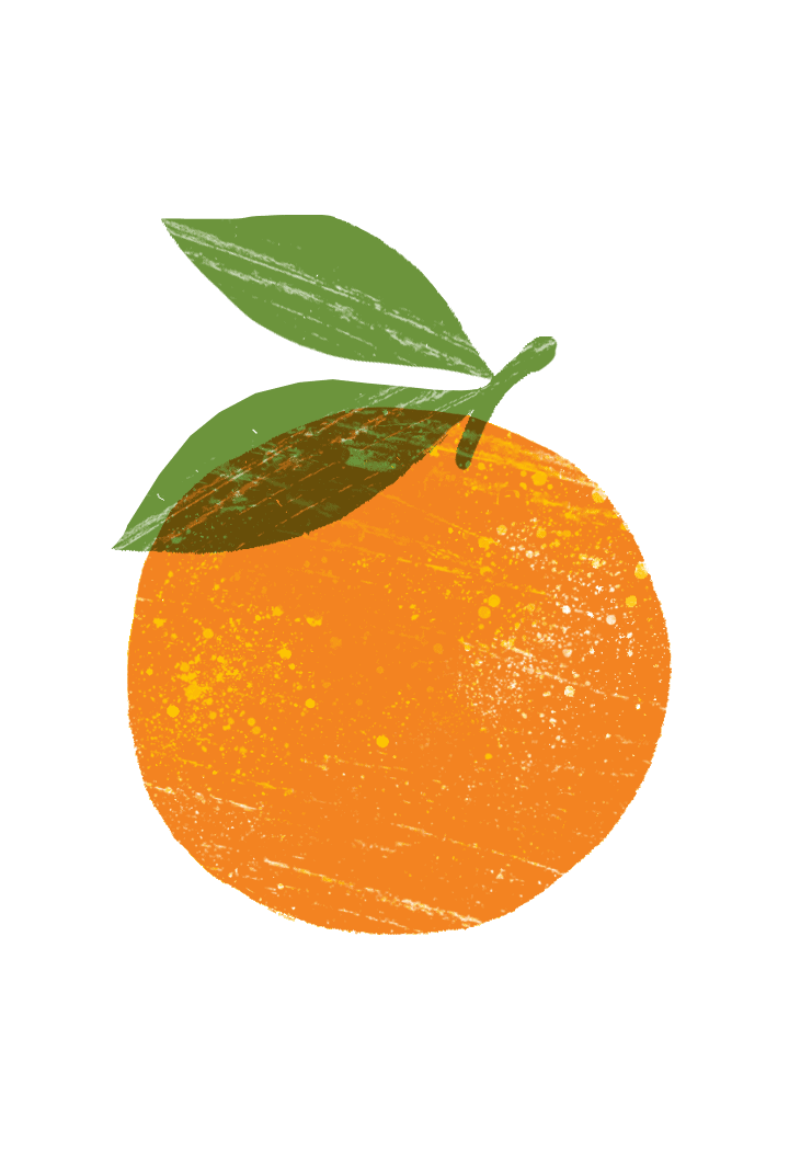 digital drawing of an orange.
