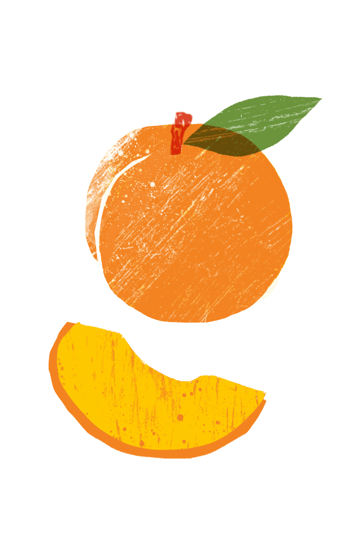 digital drawing of a peach.