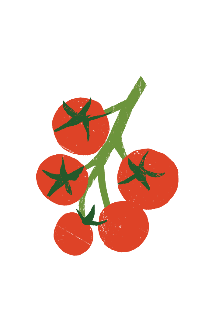 digital drawing of tomatoes on a vine.