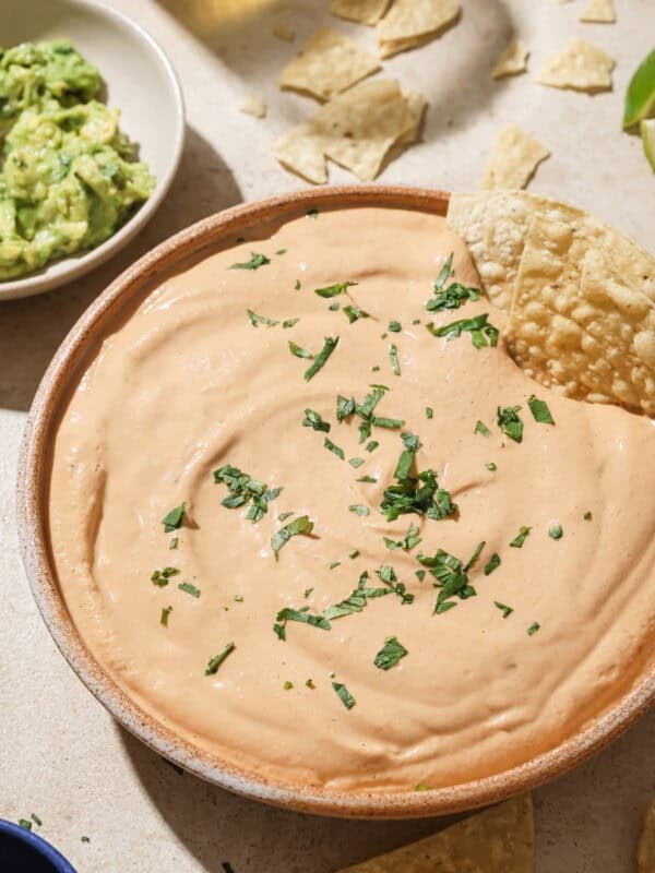 overhead view of big bowl of queso topped with cilantro.