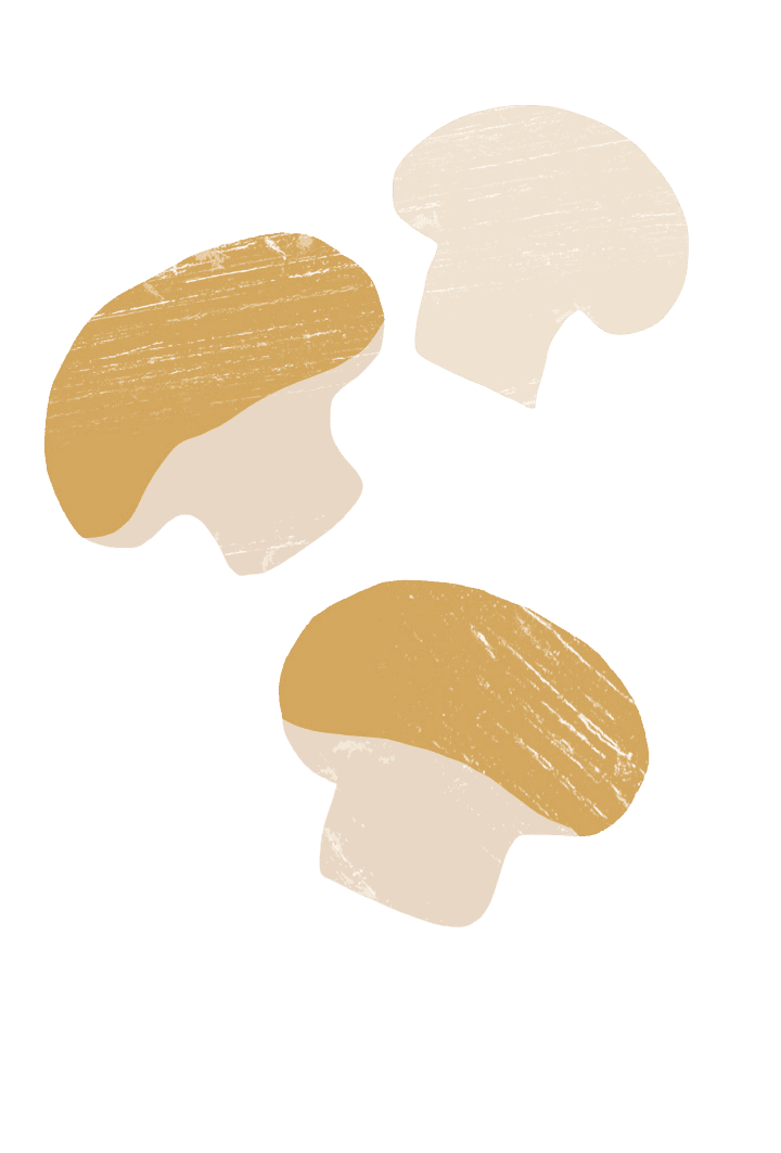 digital illustration of mushrooms.