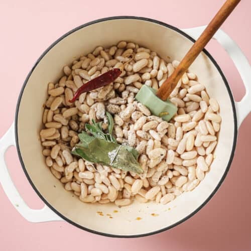 How to Cook Beans - Rainbow Plant Life