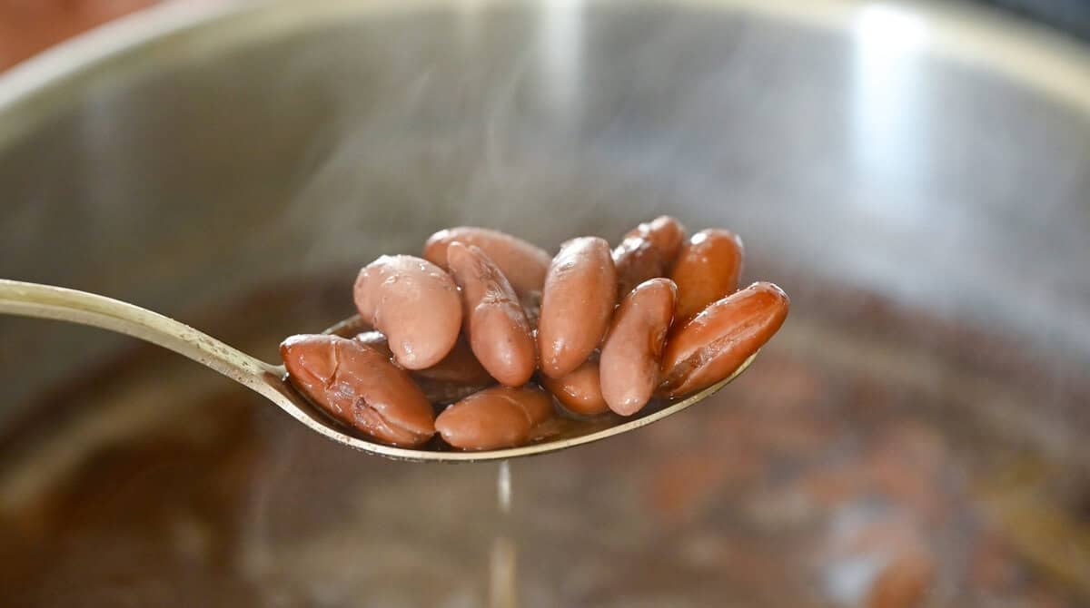 tender cooked beans on a spoon.